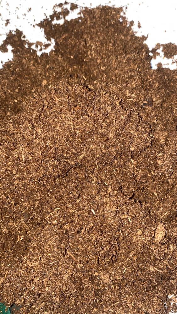Black S50 Peat Moss