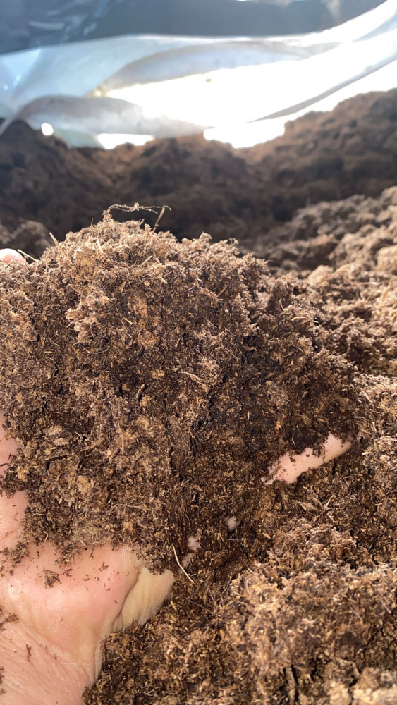 Black and White Peat Moss Mix