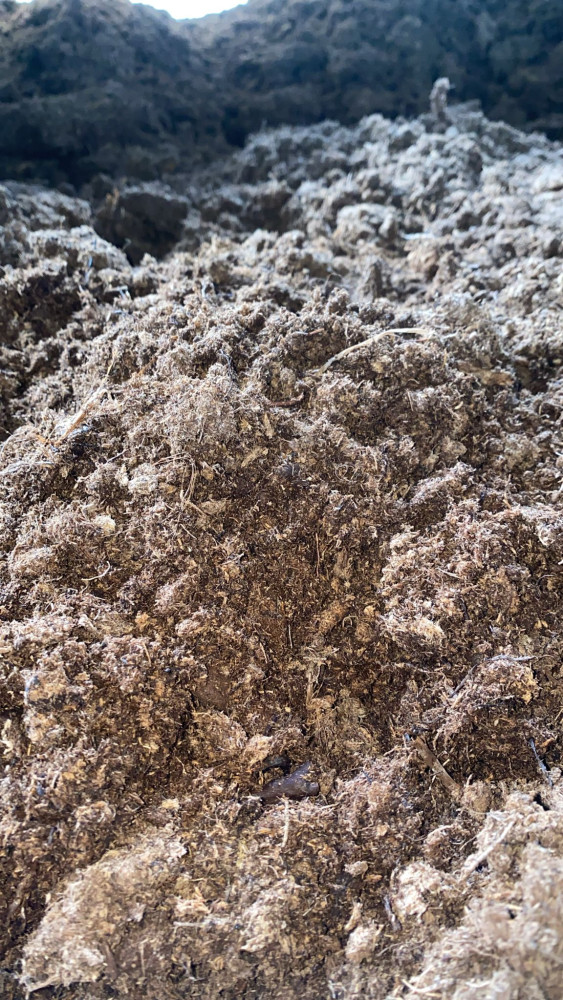 Black and White Peat Moss Mix