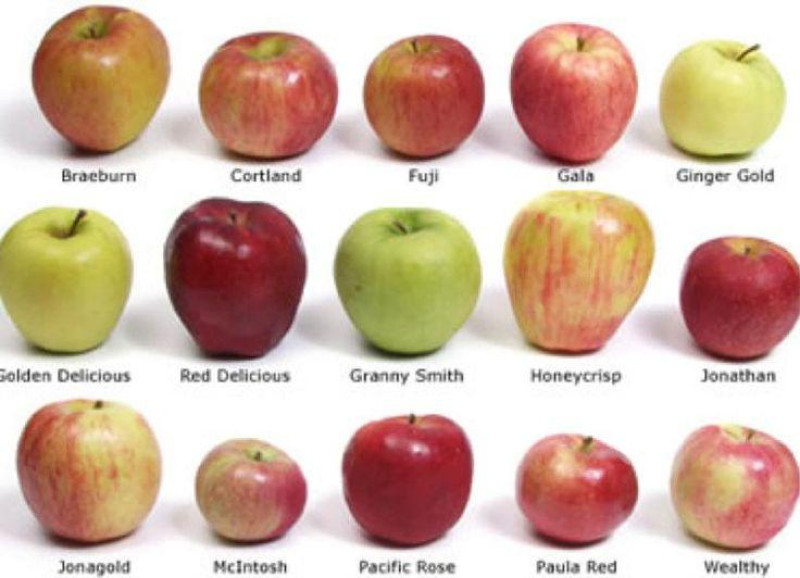 Red apple Brarburn