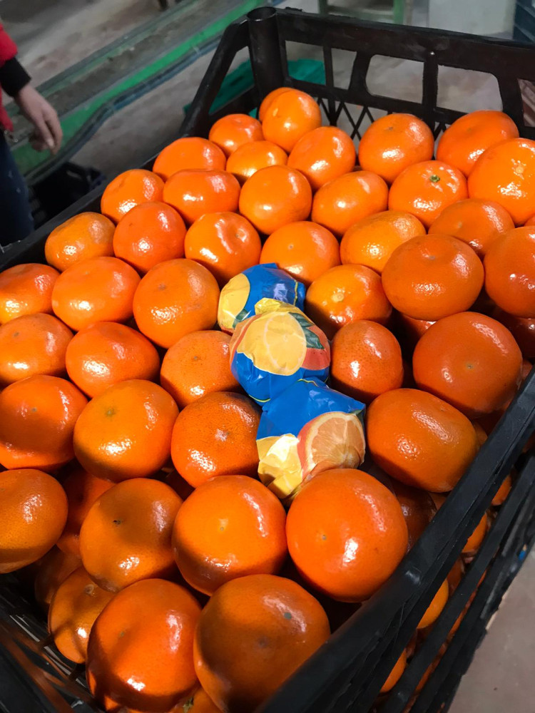 W Murcott Mandarin