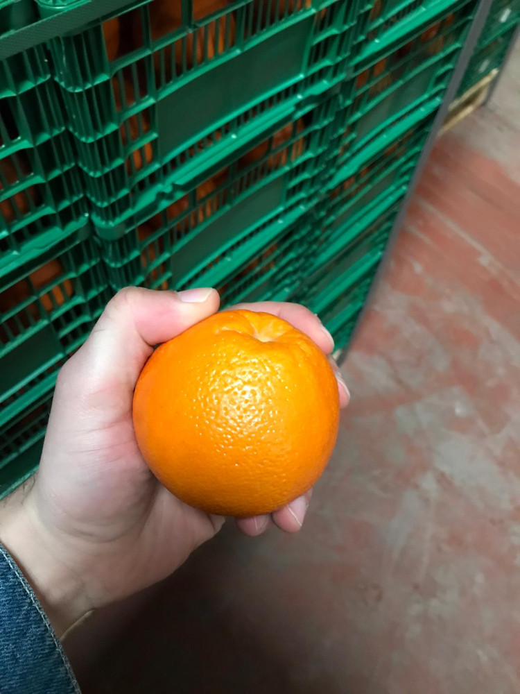 Washington Orange