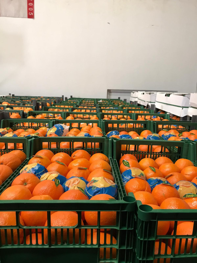 Washington Orange