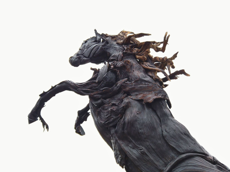 Dark horse