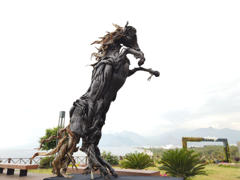 Dark horse