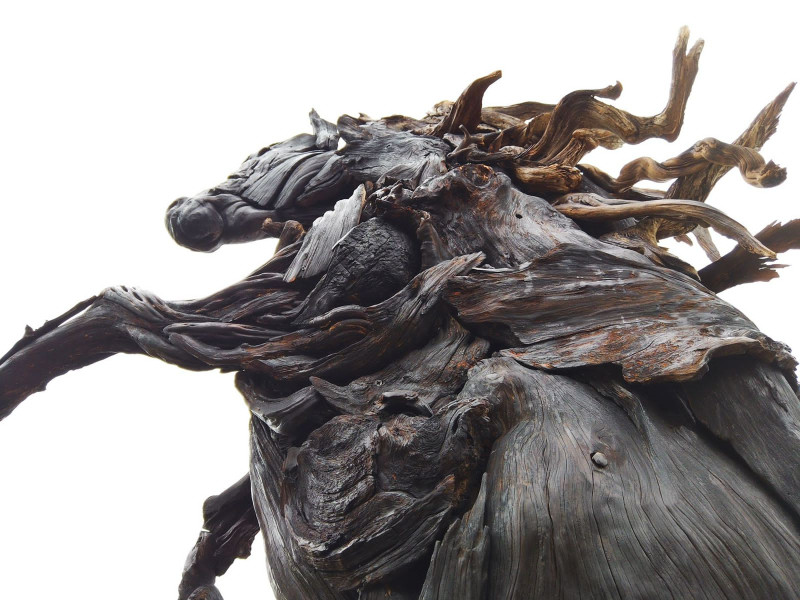 Dark horse