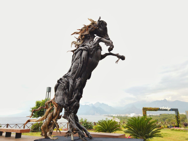 Dark horse