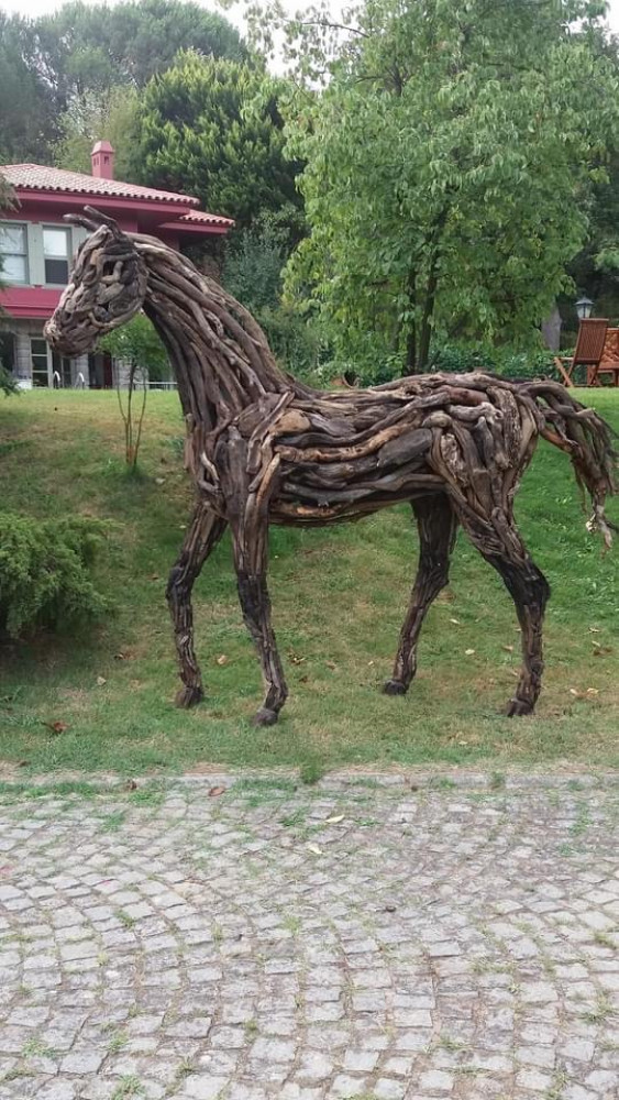 Horse walking position