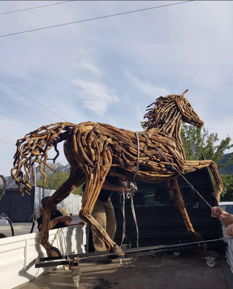 Horse walking position