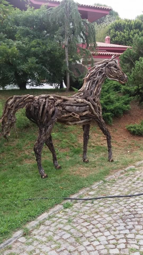 Horse walking position