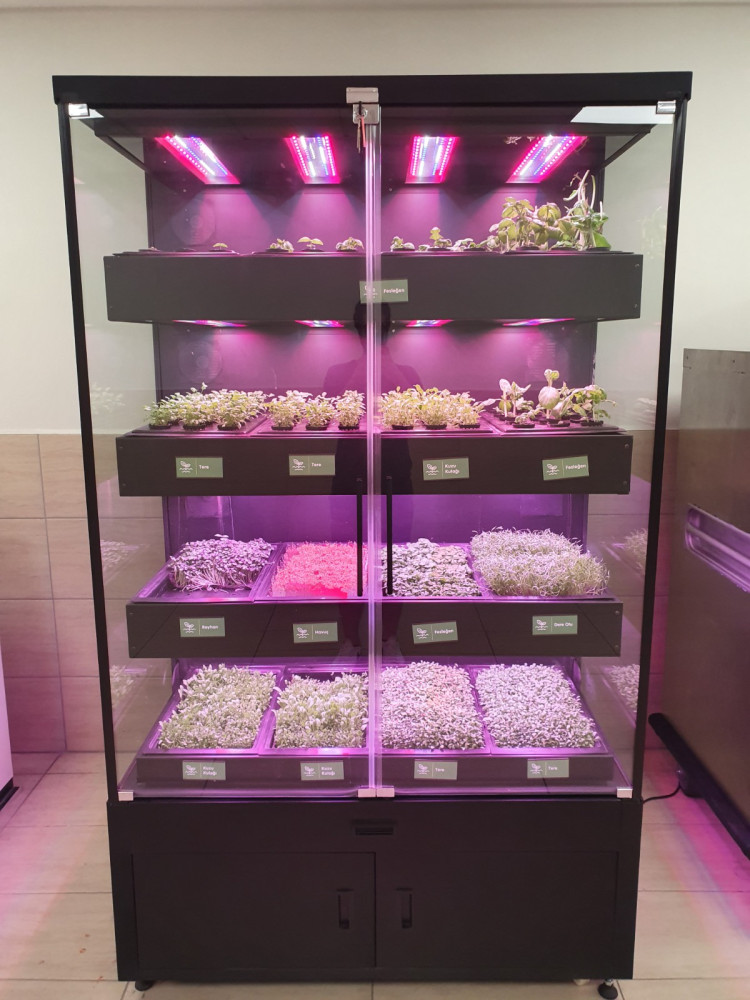 Soil-less Agriculture System